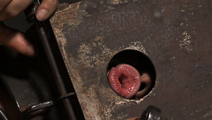Bosomy brunette whore rubs her cunt with metal box on her head